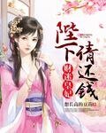 財迷皇妃:陛下,請還錢