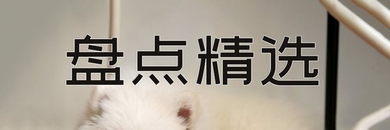 盤點精選&看的一些穿越古言